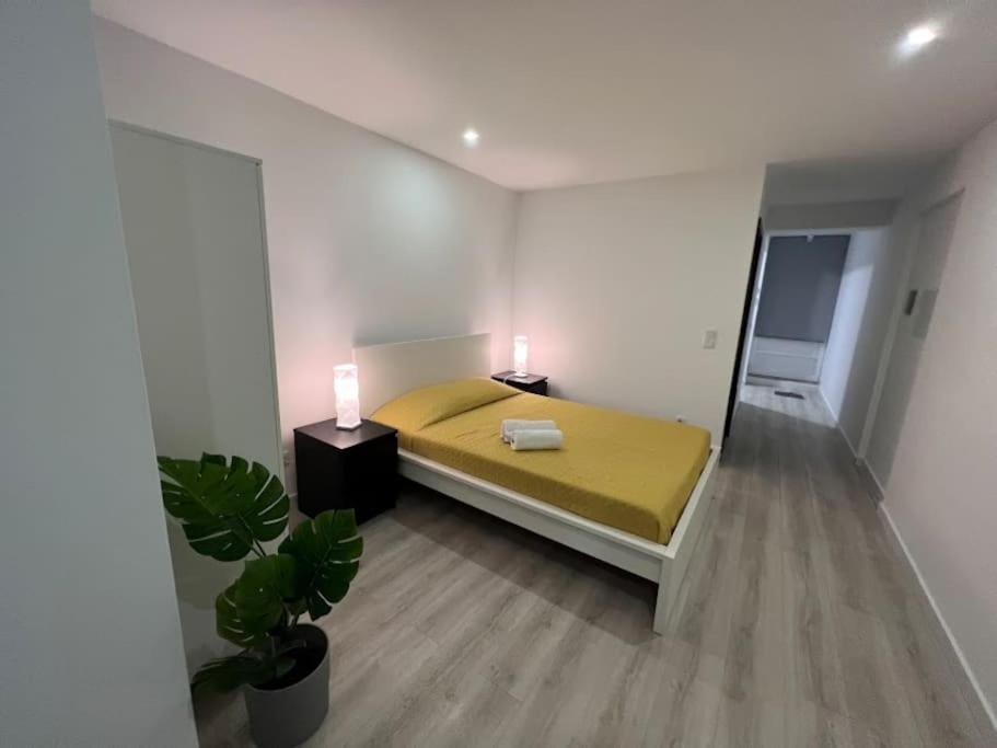 Opo - Fantastic Studio With Garden Porto Room photo